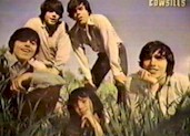 Cowsills