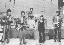 Cowsills