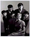 Cowsills