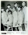 Cowsills