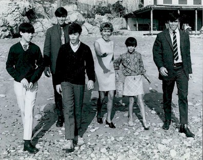 Cowsills